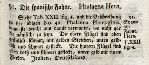 mueller-1774-phalaena-hera